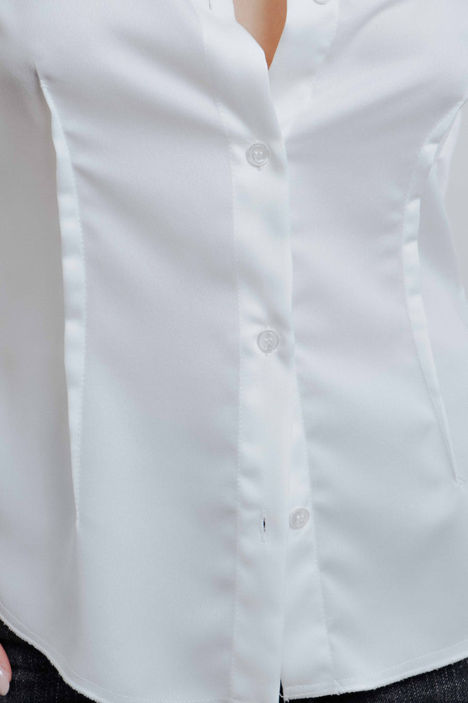 CAMISA ENTALLADA PINZAS